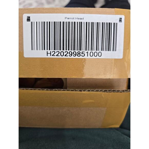 NWT Carver Dans Parrot Head It's 5 o'clock SOMEWHERE Hand Carved Wooden Puzzle - Picture 7 of 10